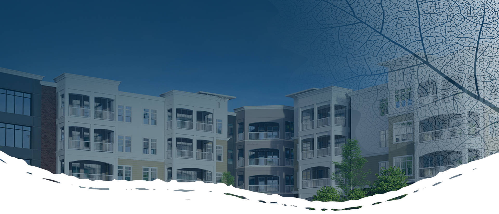 Introducing The Canopy