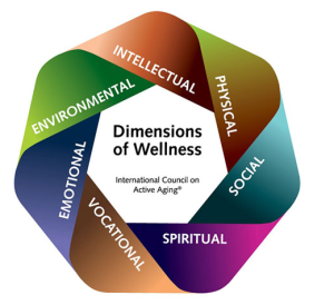 Seven dimensions of healthy living